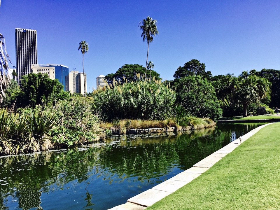 Royal Botanic Garden di Sydney