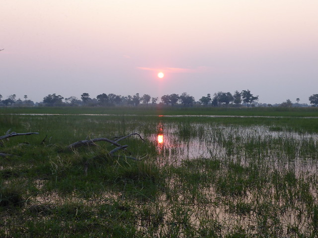 POR ZIMBABWE Y BOTSWANA, DE NOVATOS EN EL AFRICA AUSTRAL - Blogs de Africa Sur - Traslado a Maun. Nos adentramos en el Delta del Okavango (55)