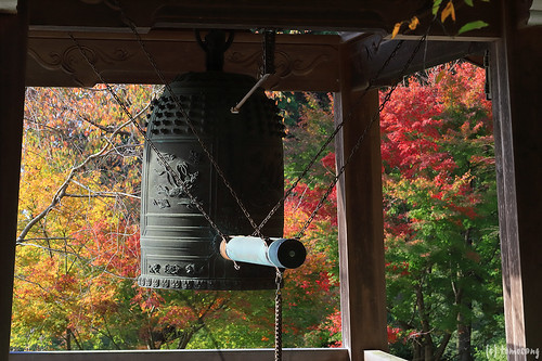 Autumn Color at Seiryuji Temple 2018