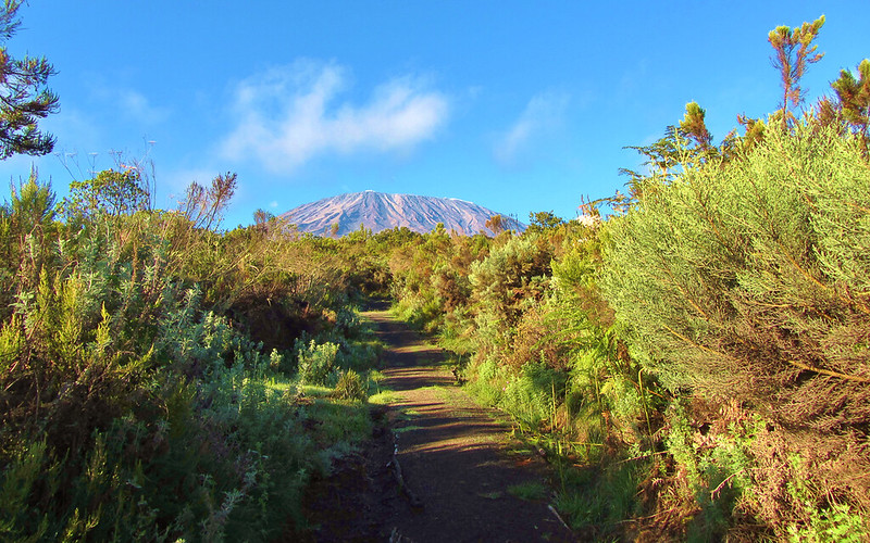 Mt Kilimanjaro via Rongai Route 067