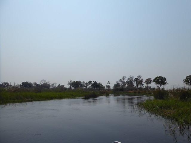 Traslado a Maun. Nos adentramos en el Delta del Okavango - POR ZIMBABWE Y BOTSWANA, DE NOVATOS EN EL AFRICA AUSTRAL (16)