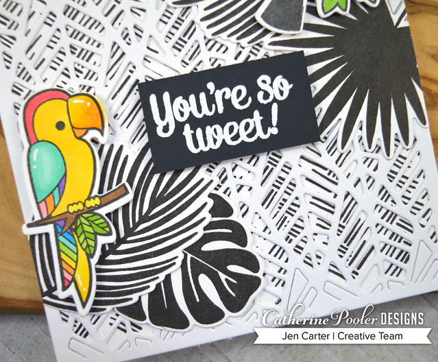Jen Carter Toucan Do It - To the Point Cover Plate - Good Vibes Borders Closeup 1