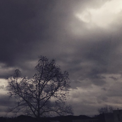 dark grey winter autumn wet cold dreary clouds tree