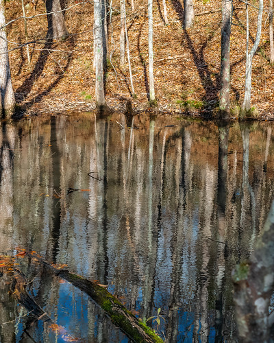 fairview fall hdr hiking landscape nature sonya6500 sonyimages tennessee usa unitedstates valleygreenestates outdoors exif:isospeed=400 camera:make=sony exif:lens=epz18105mmf4goss exif:make=sony geo:country=unitedstates geo:city=fairview geo:location=valleygreenestates geo:state=tennessee geo:lon=87155548333333 geo:lat=35975971666667 exif:aperture=ƒ80 exif:focallength=36mm camera:model=ilce6500 exif:model=ilce6500