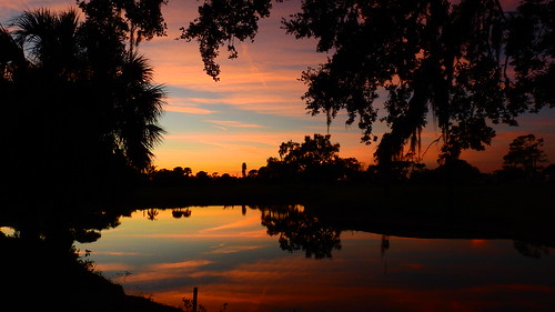 sunset sundown dusk sun evening endofday sky clouds color red gold orange pink yellow blue tree palm outdoor silhouette weather tropical exotic wallpaper landscape nikon coolpix p900 jimmullhaupt manateecounty bradenton florida cloudsstormssunsetssunrises pond lake water reflection photo flickr geographic picture pictures camera snapshot photography nikoncoolpixp900 nikonp900 coolpixp900
