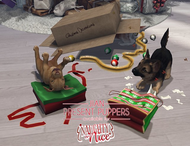 JIAN Present Puppers (Naughty or Nice)