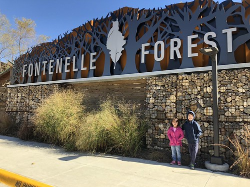 Fontenelle Forest 2018