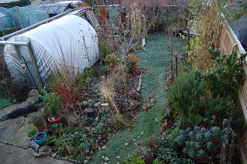Looking Down on the Back Garden - November 2018