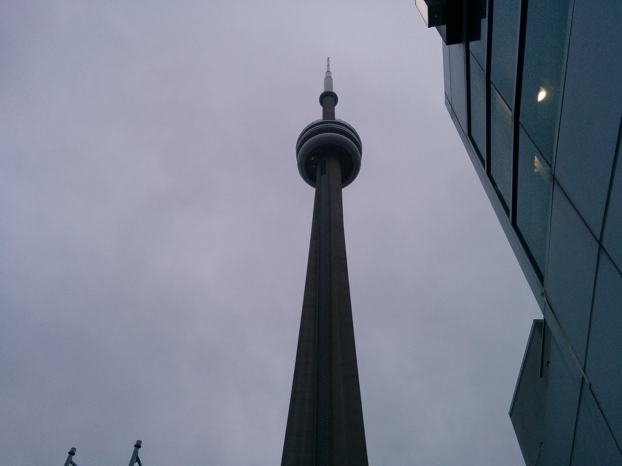 Looking up at the CN Tower #toronto #southcore #cntower #skyline #evening