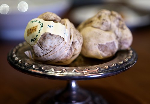 Tartufo Bianco / white truffles