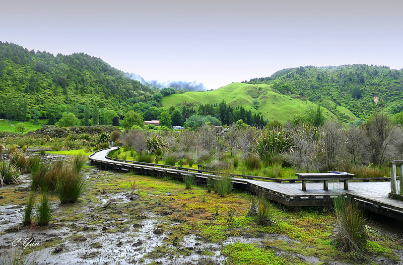 New Zealand - Rotorua