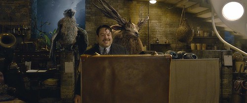 Jacob in Newt's animal kingdom. From A First Look at Fantastic Beasts: The Crimes of Grindelwald