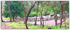 Watercourse, Araluen Botanic Park, Roleystone, Western Australia