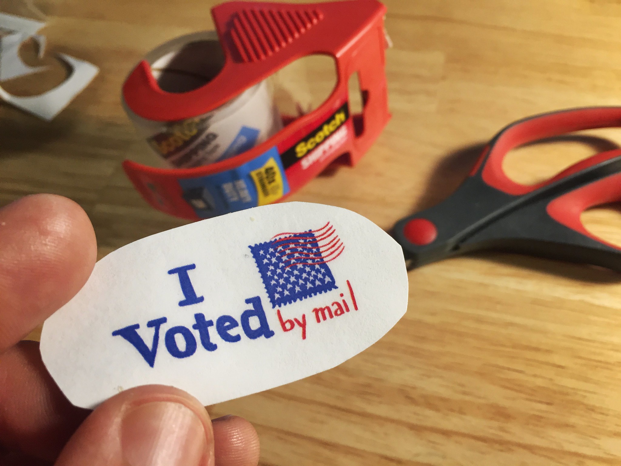 DIY I voted by mail