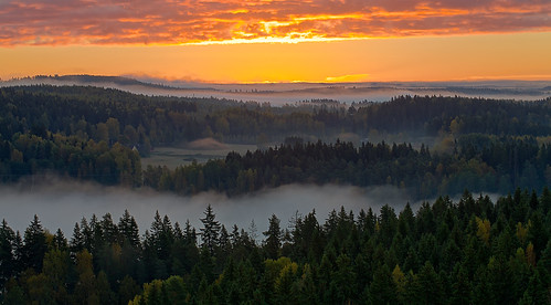 europe finland hdr aerialview autumn background calm colorful countryside fall fantasy fog foggy forest glow glowing haze hill idyllic lake landscape magical mist misty morning mysterious mystic mystical nature orange outdoor peaceful red scenery scenic season silence sunrise tree vibrant weather woods