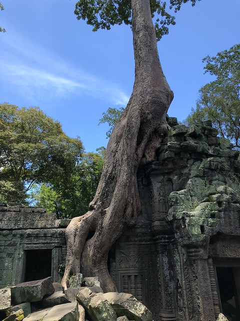 Angkor II: recorrido corto - Myanmar, Camboya y Laos: la ruta de los mil templos (33)
