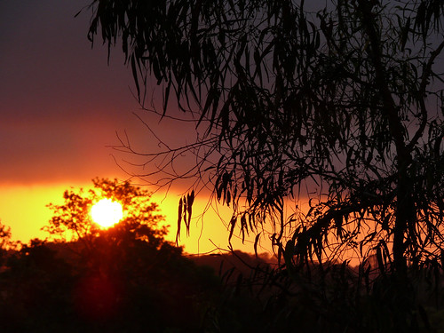 australia maleny queensland sunshinecoast clouds hinterland sky sunrise trees weather