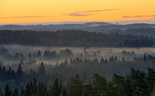 europe finland hdr aerialview autumn background calm colorful countryside fall fantasy fog foggy forest glow glowing haze hill idyllic lake landscape magical mist misty morning mysterious mystic mystical nature orange outdoor peaceful scenery scenic season silence sunrise tree vibrant weather woods