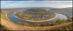 Rhine View