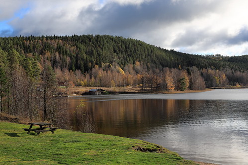 lake water trees forrest hagfors sweden