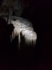 Grotte de Clamouse_160720
