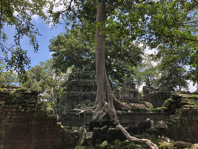 Angkor II: recorrido corto - Myanmar, Camboya y Laos: la ruta de los mil templos (34)