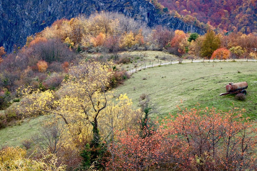 Trièves & couleurs d'automne