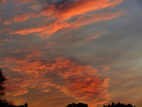 sky sunset sundown cloud sony sonyphotographing orange blue horizon treeline texas comalcounty centraltexas hillcountry