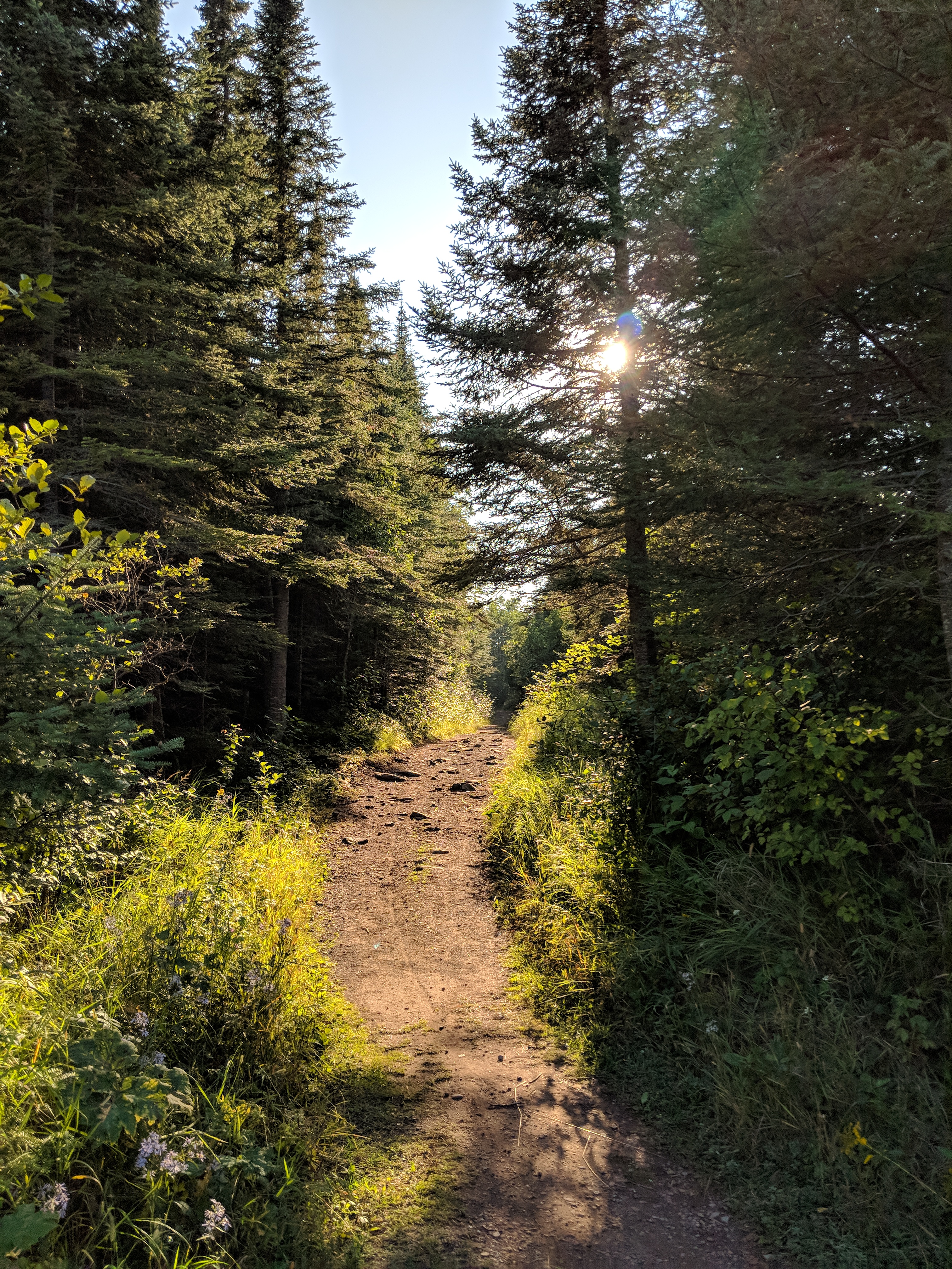 Kabeyun Trail through forest, Sleeping Giant Provincial Park