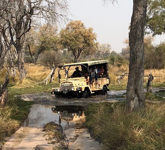Vuelo sobre el Delta del Okavango. Llegamos a Moremi. - POR ZIMBABWE Y BOTSWANA, DE NOVATOS EN EL AFRICA AUSTRAL (39)
