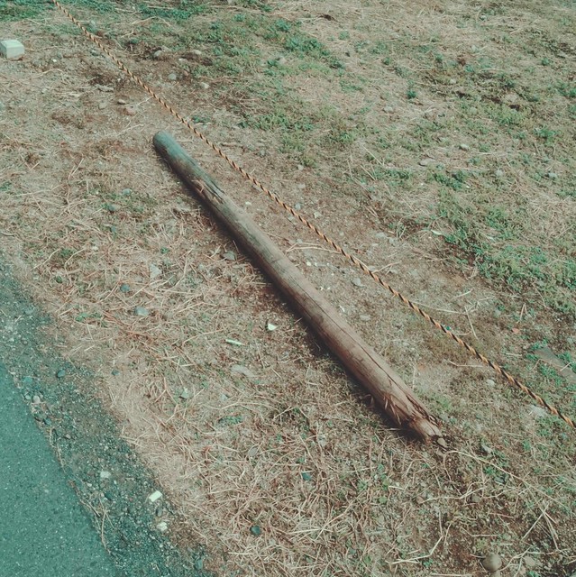 Broken wood pole