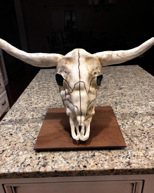 Skull by Brittany Walker of Baked Bakery