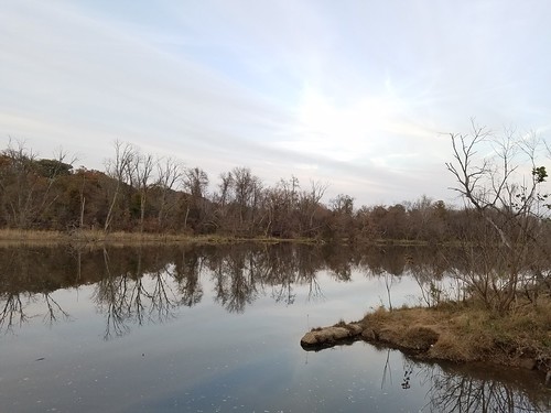Anacostia River Parkland