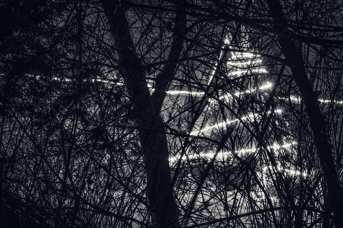 teepee lights lit christmas tree trees saintemarie saintemarieamongthehurons midland ontario canada night nighttime firstlight jsp2018113028 blackandwhite blackwhite bw toned