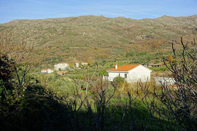 Sierra de Gata(Cáceres), 1ª parte. Robledillo de Gata y San Martín de Trevejo. - Recorriendo Extremadura. Mis rutas por Cáceres y Badajoz (43)