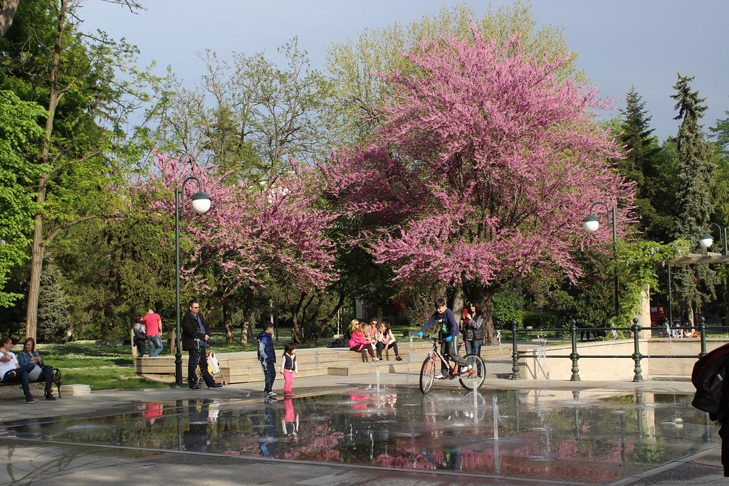 Plovdiv Parque Zar Simeon 11