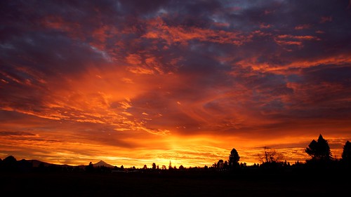 sunrise rossi farms pdx portland oregon