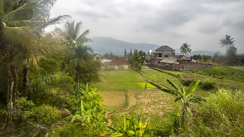 vacation holiday asia indonesië indonesia java trainride kalodaya view green landscape rice field tree id