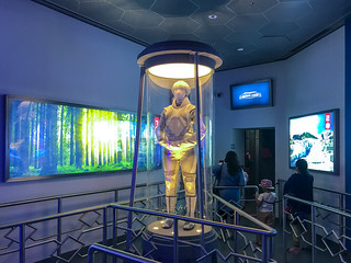 Photo 2 of 2 in the Panem Aerial Tour gallery