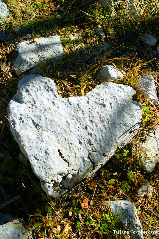 Камень в форме сердца