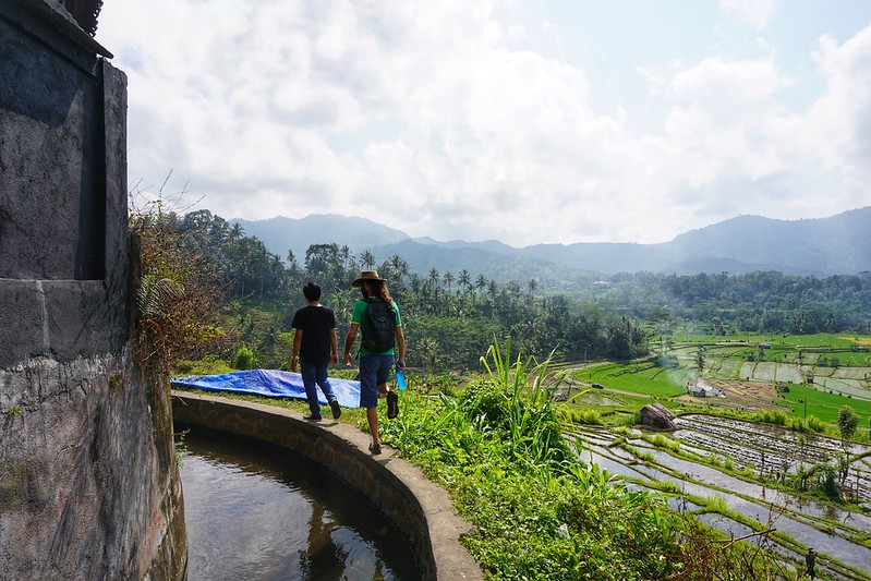 Walking along the canal above the rice terraces in Bali