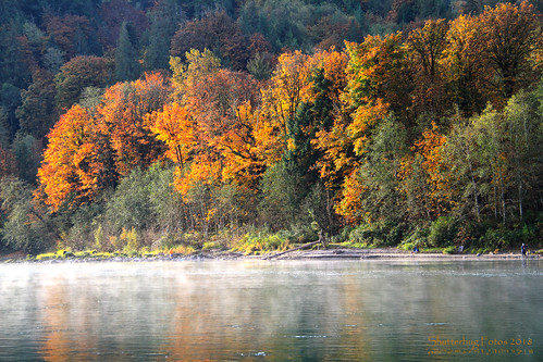 skagitriver fallcolor autumncolor fall autumn color colour river fishing