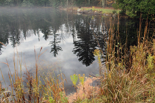 vermont autumn fall nature outdoors pond lake