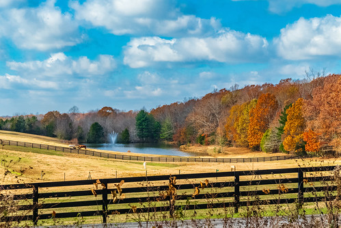fairview fairviewheights fall farm hdr hiking landscape nature sonya6500 sonyimages tennessee usa unitedstates outdoors exif:isospeed=400 camera:make=sony exif:lens=epz18105mmf4goss exif:make=sony geo:location=fairviewheights geo:city=fairview geo:country=unitedstates exif:focallength=47mm geo:state=tennessee exif:aperture=ƒ95 geo:lon=87151008333333 geo:lat=35964041666667 camera:model=ilce6500 exif:model=ilce6500