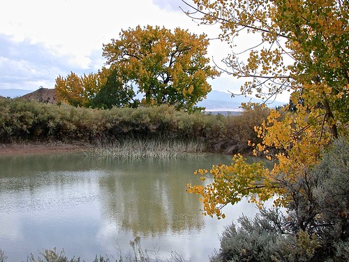 Pond at Ghost Ranch, NM