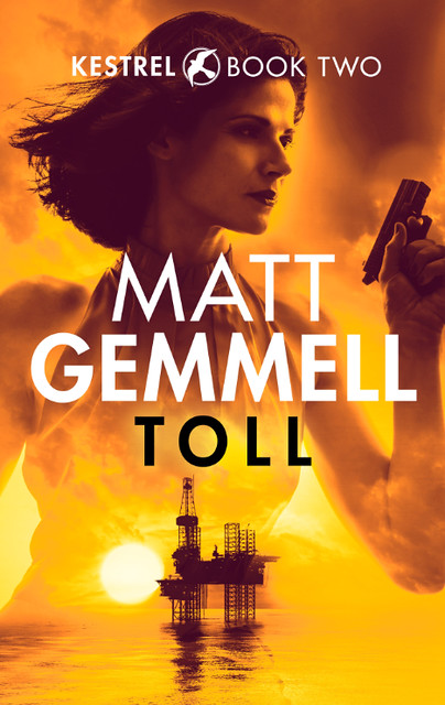 TOLL book cover