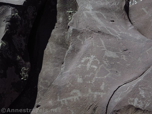 More rock art at Nampaweap in Grand Canyon Parashant National Monument on the Arizona Strip