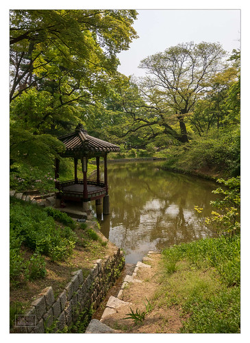 changdeokgungpalace historic landscape pond reflection seoul sky southkorea trees water