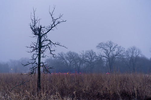 asylumlakepreserve kalamazoocounty michigan us unitedstates fall fog kalamazoo landscape outdoor overcast park winter
