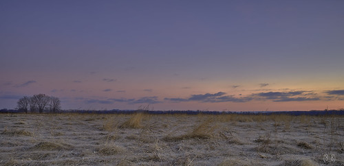 sunrise dawn goldenhour newengland northampton color colorful painting massachusetts sonya7ii sonyvariotessartfe1635mmf4za sony